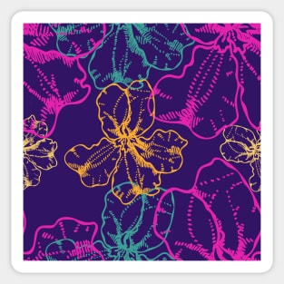 Goodenia Australian Flower Sticker